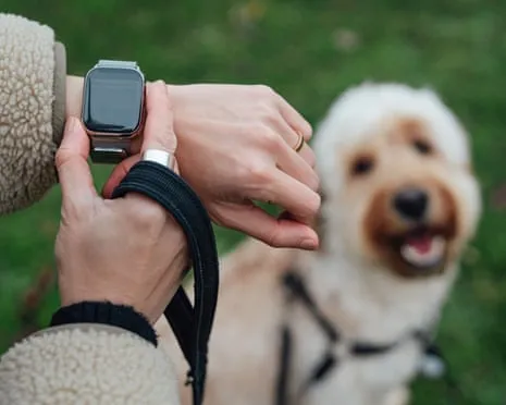 The Honest Scoop Regarding Wearable Tech? Living Feels Fuller Without a Nagging Device on Your Wrist